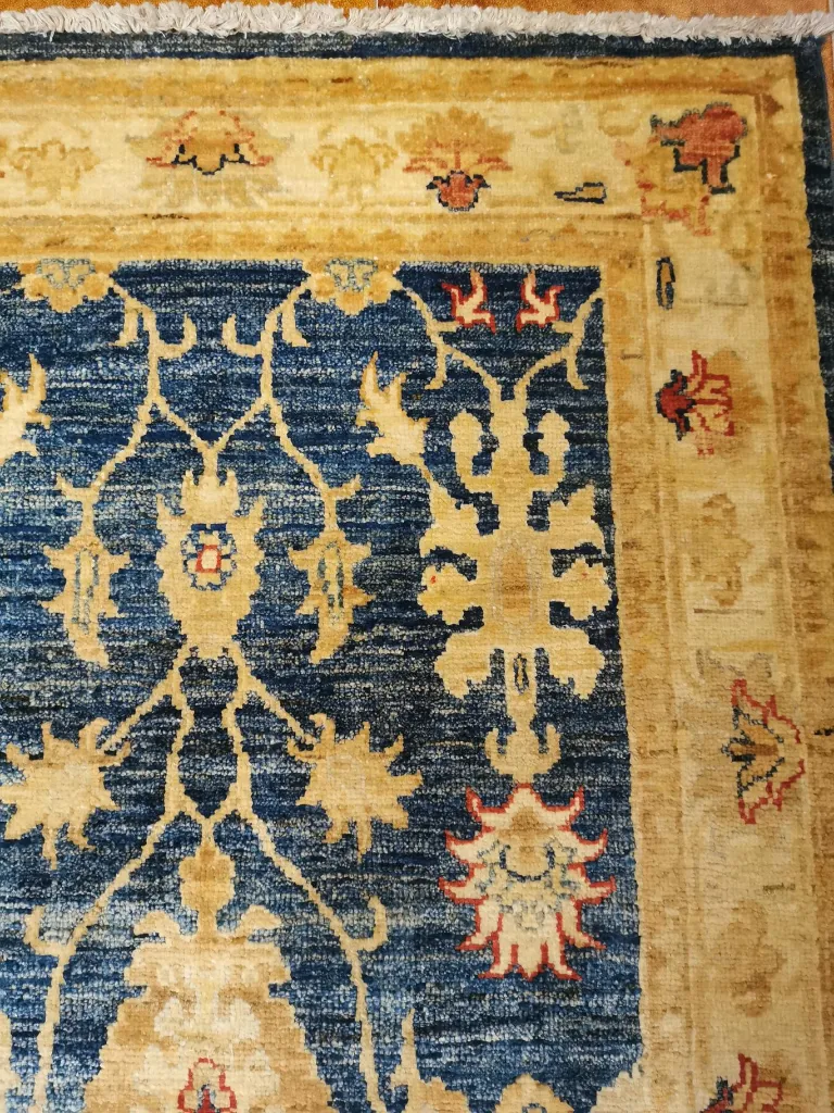 IMG_20230119_125209 (Copy).webp