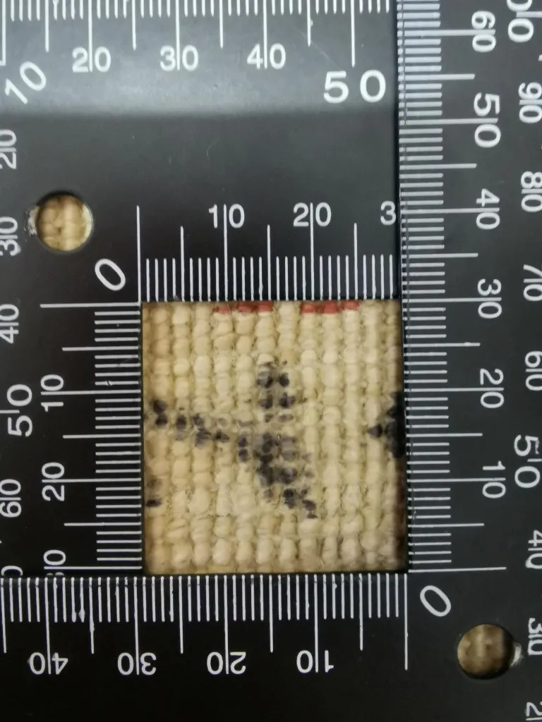 IMG_20230119_124615 (Copy).webp