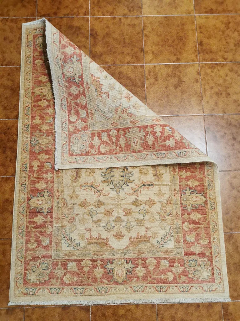 IMG_20230119_162755 (Copy).webp