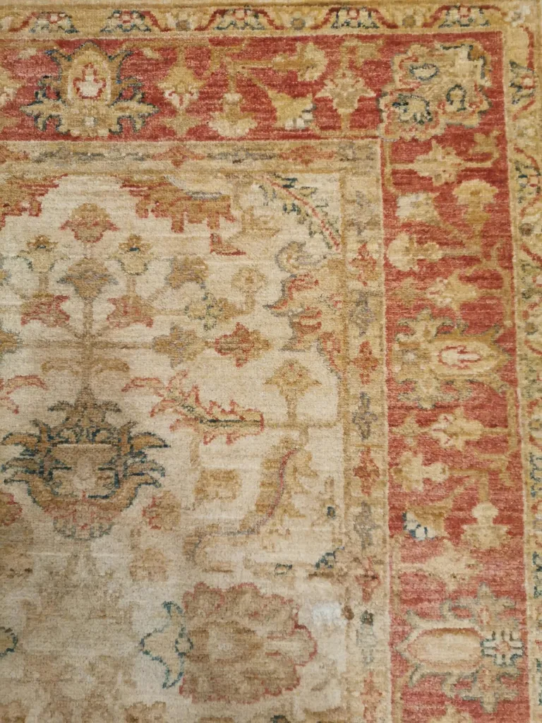 IMG_20230119_162745 (Copy).webp