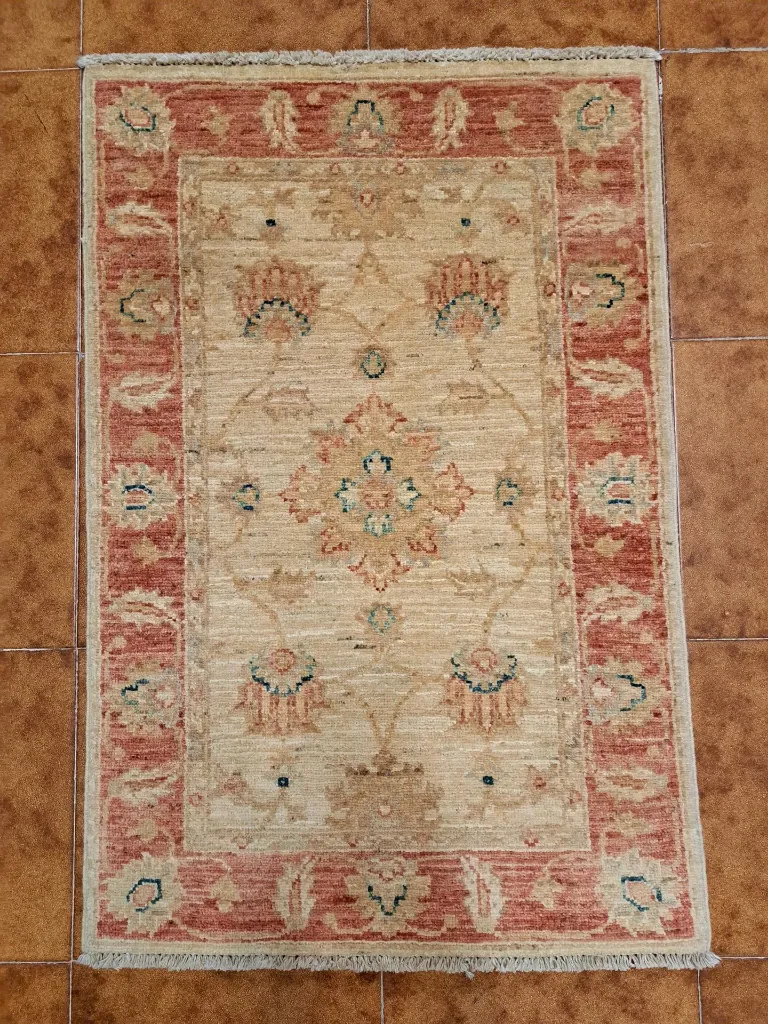 20230309_165906 (Copy).webp