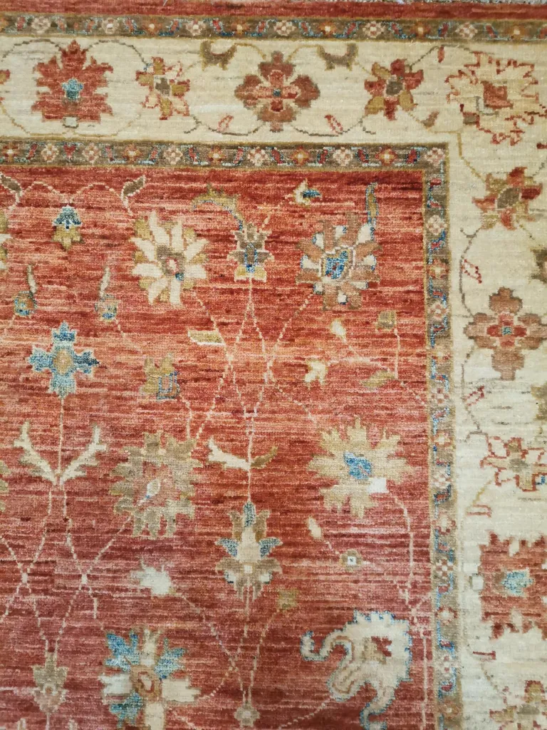 IMG_20230119_115720 (Copy).webp