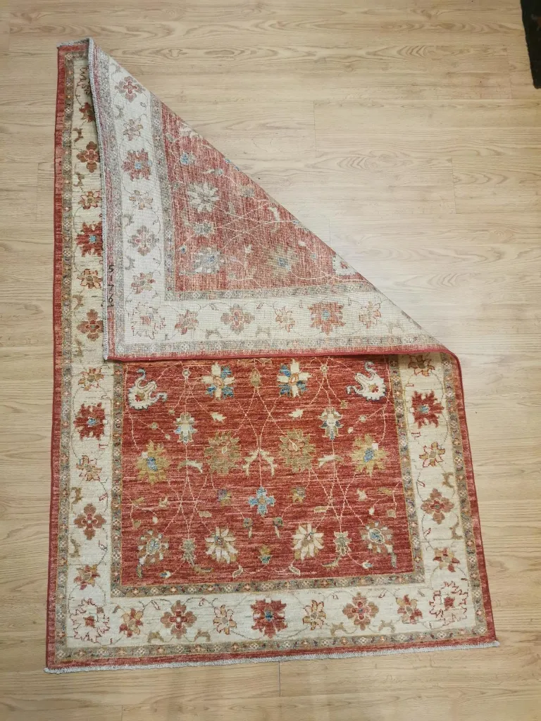 IMG_20230119_115737 (Copy).webp