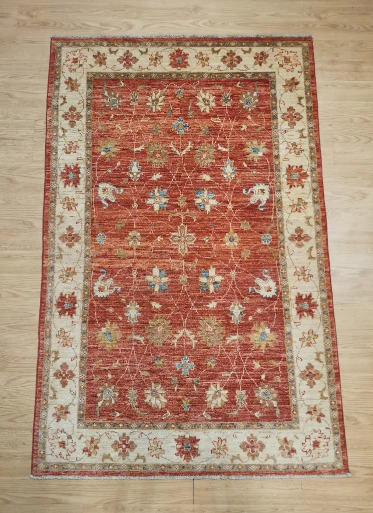 IMG_20230119_115659_edit_69712316501861 (Copy).webp