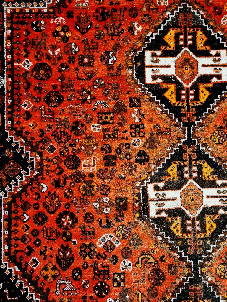 WhatsApp Image 2022-11-25 at 11.59.48.webp