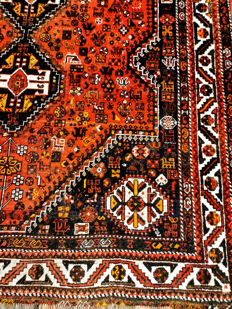 WhatsApp Image 2022-11-25 at 11.59.47.webp