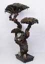 Bonsai crioessiccato 2.webp