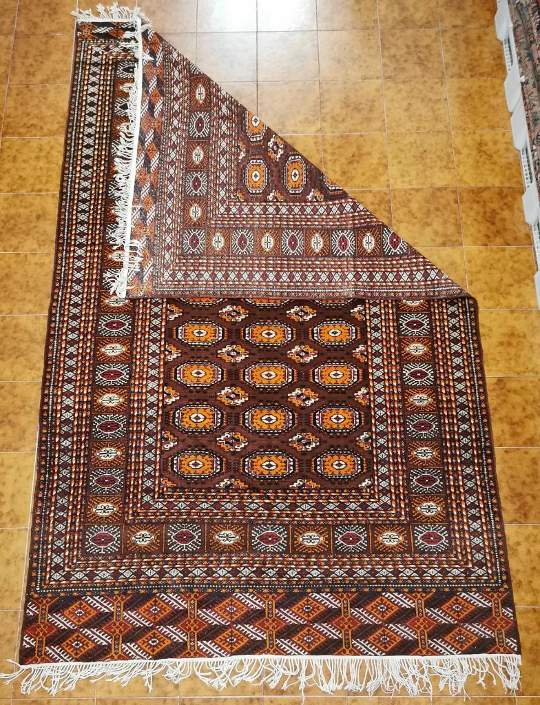 IMG_20230202_131506_edit_225668225852543 (Copy).webp