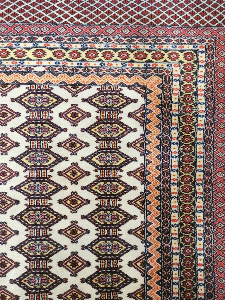 IMG_20230203_172253 (Copy).webp