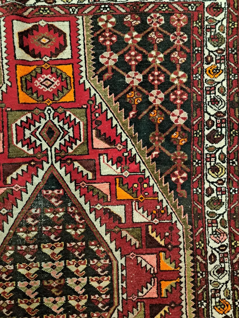 20240307_174156 (Copy).webp