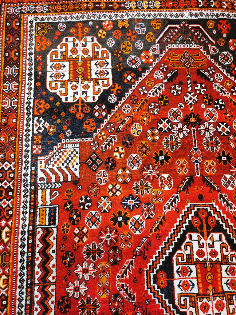 IMG_20230120_121454 (Copy).webp