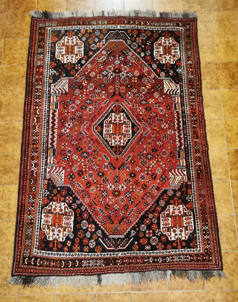 IMG_20230120_121424_edit_126242882587506 (Copy).webp