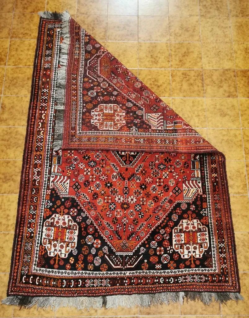 IMG_20230120_121519_edit_126311586146350 (Copy).webp