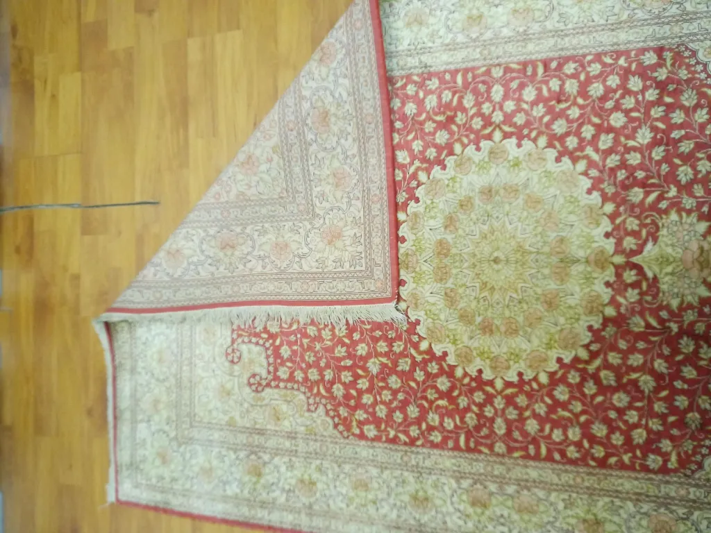 IMG_20231118_102427_096 (Copy).webp