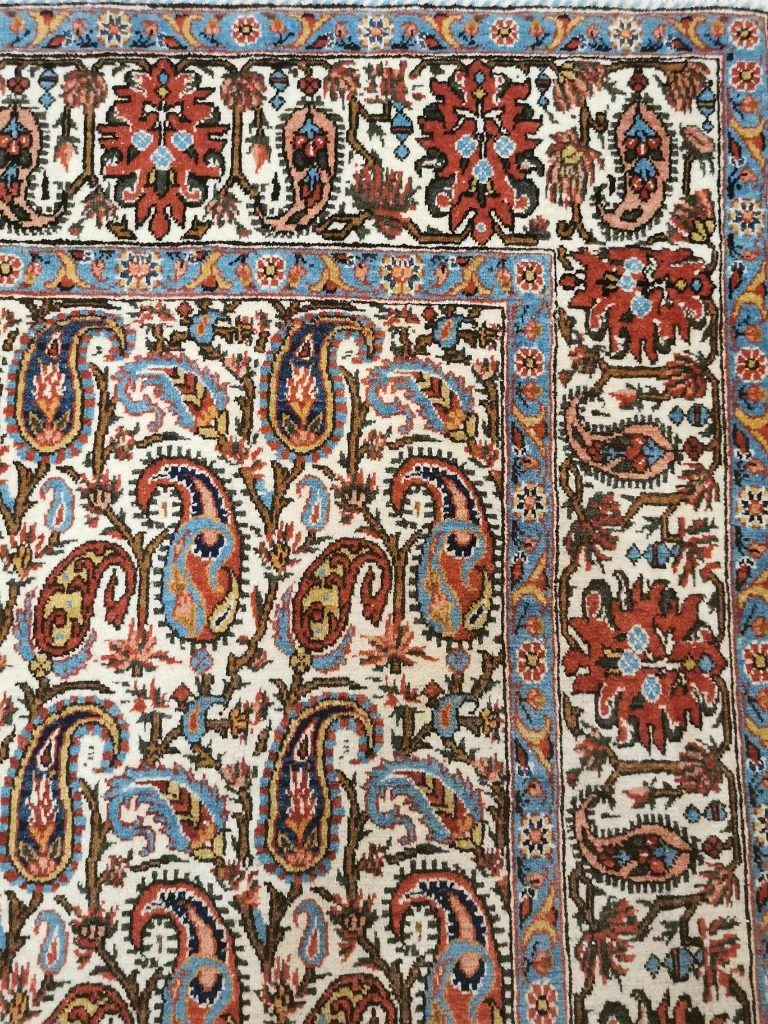 IMG_20230119_175505 (Copy).webp