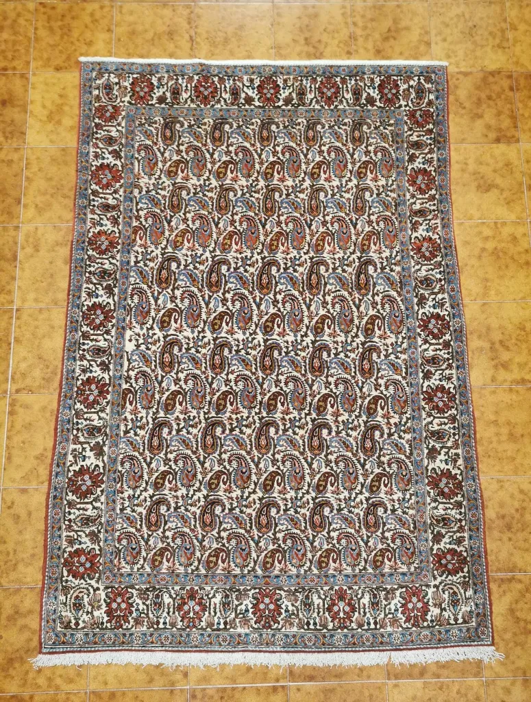 IMG_20230119_175450_edit_87316473297092 (Copy).webp