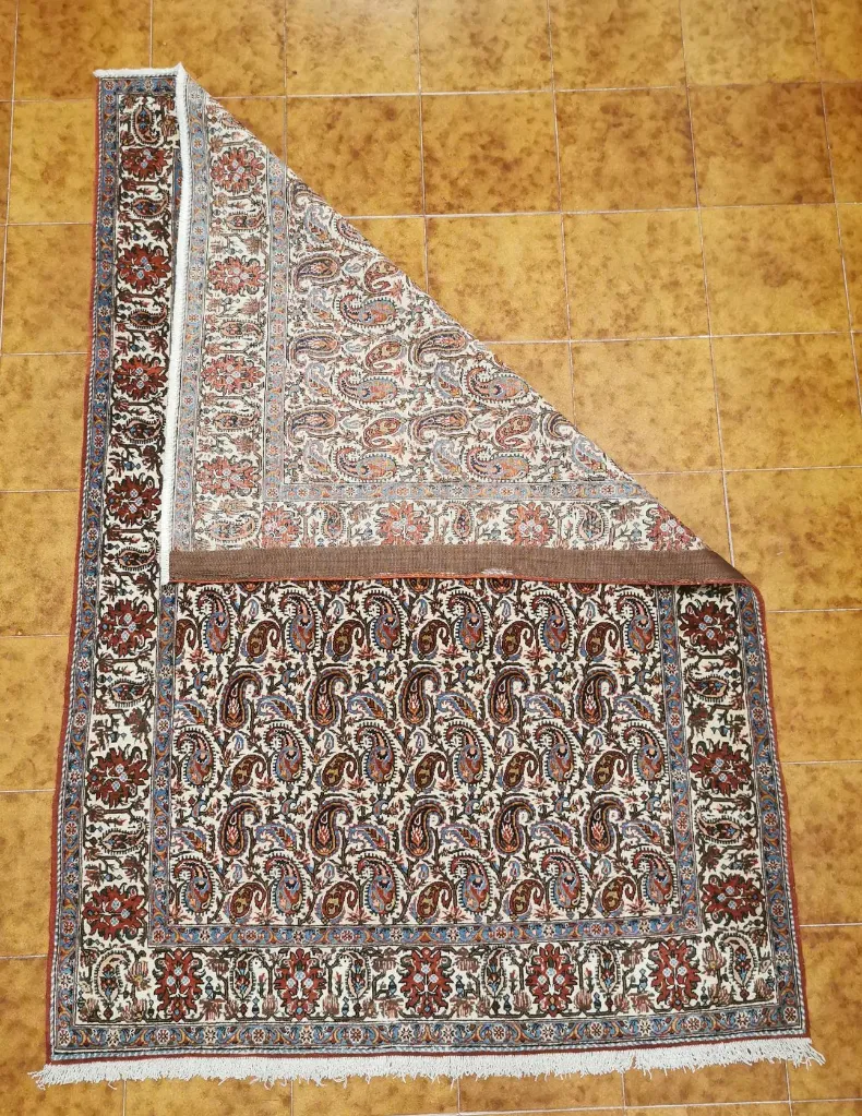 IMG_20230119_175518_edit_87345537502296 (Copy).webp