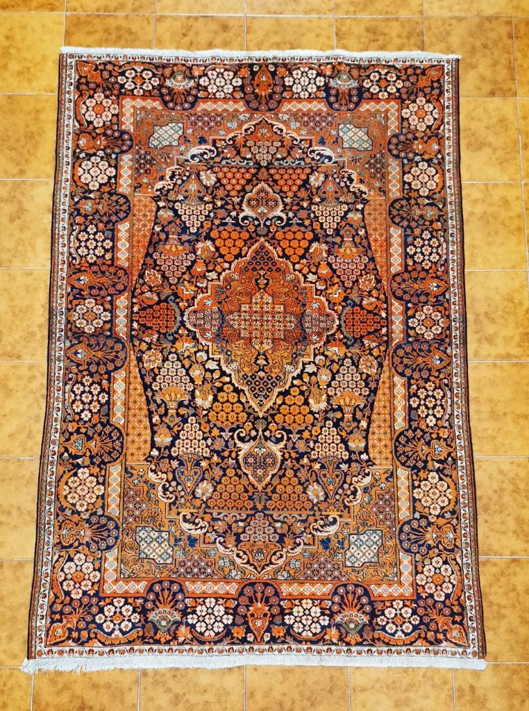 IMG_20230119_185404_edit_89538655385294 (Copy).webp