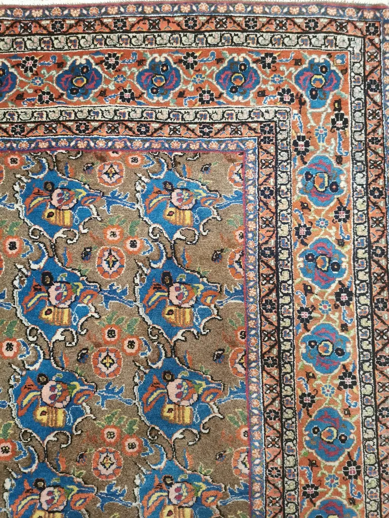 IMG_20230119_182005 (Copy).webp