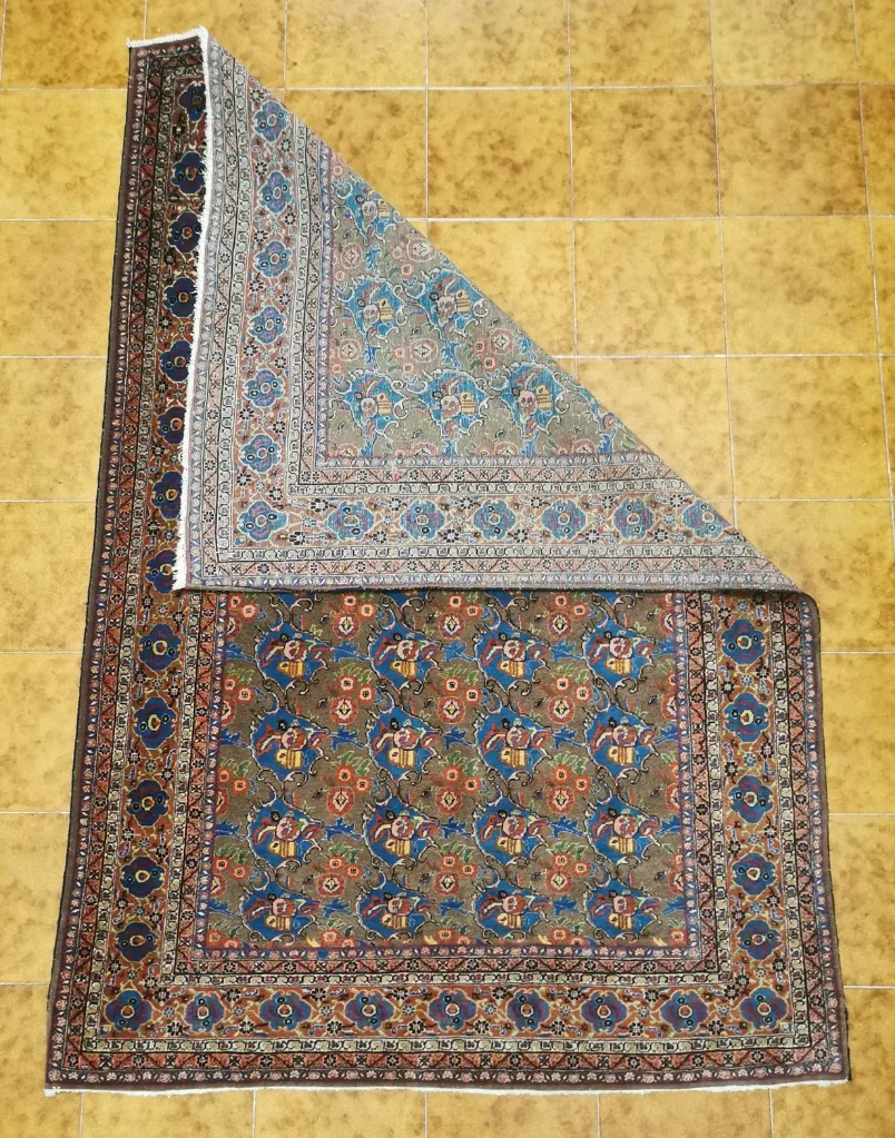 IMG_20230119_182032_edit_88293319068818 (Copy).webp