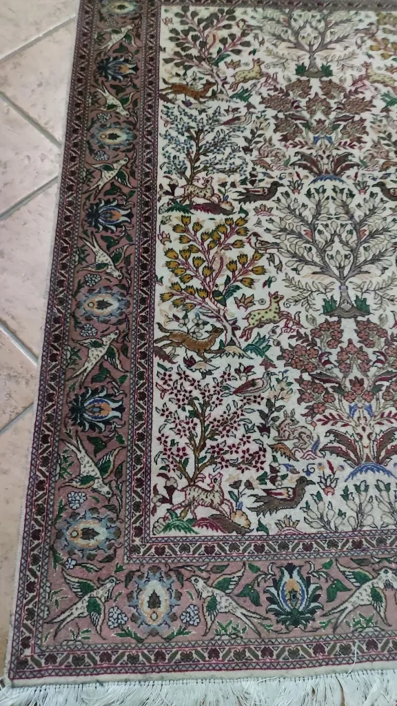 IMG_20230120_200700 (Copy).webp