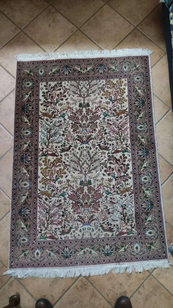 IMG_20230120_200653 (Copy).webp