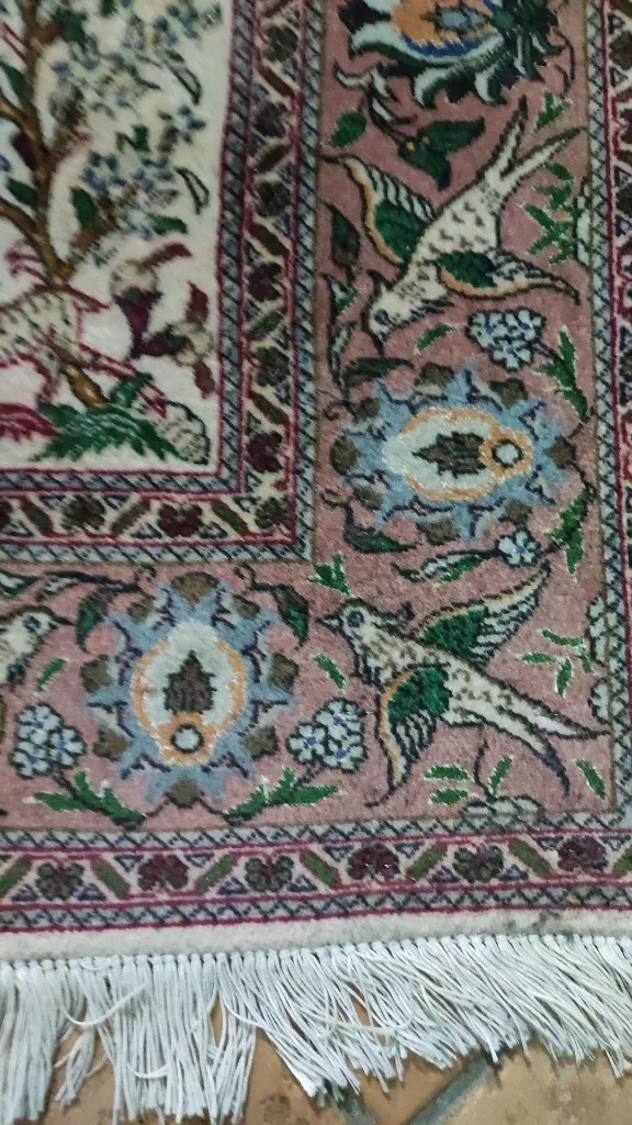 IMG_20230120_200707 (Copy).webp