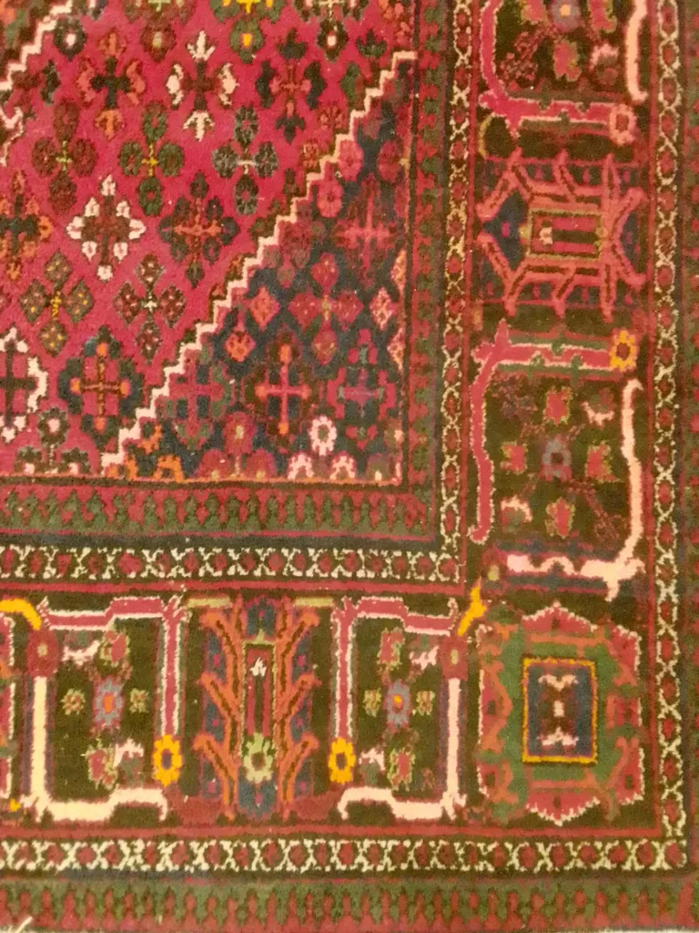 IMG_20251213_101240_HDR (Copy).webp