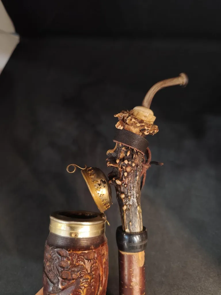 IMG_20251214_115627 (Copy).webp