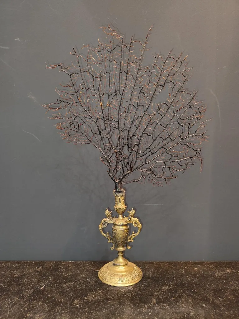 IMG_20251214_105330 (Copy).webp