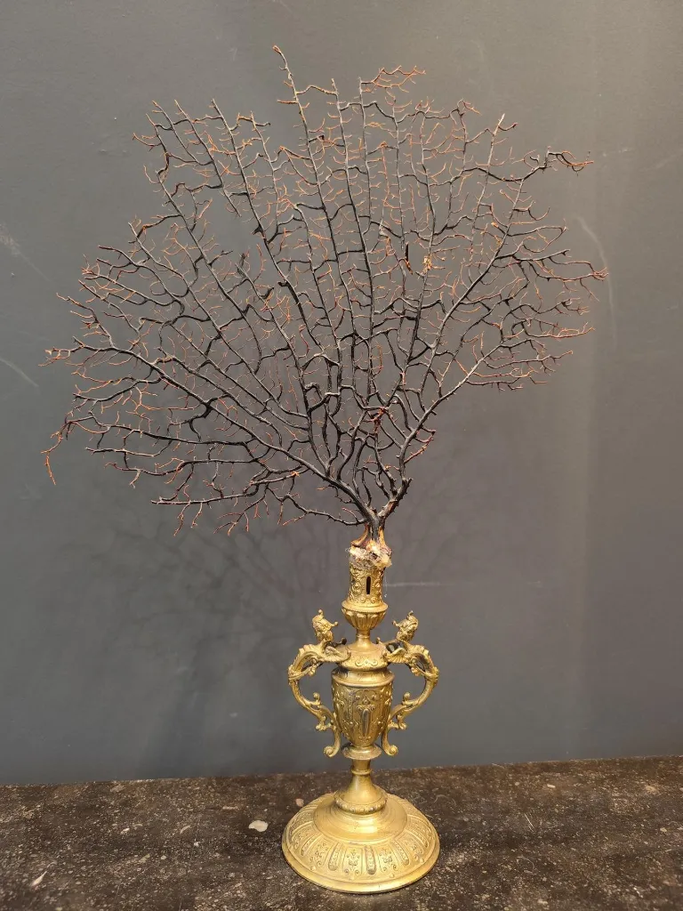 IMG_20251214_105550 (Copy).webp