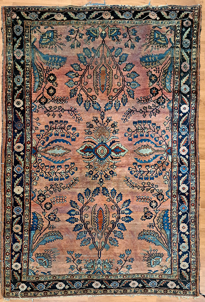 [C1350] Lilian Antico