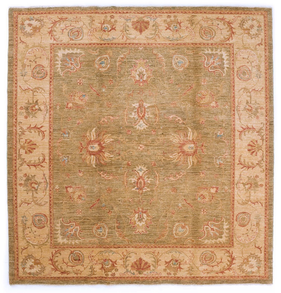 [N1516] Heraty Extra