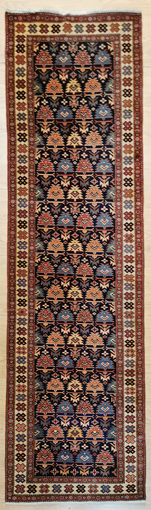 [P1195] Shirvan Turcomanno