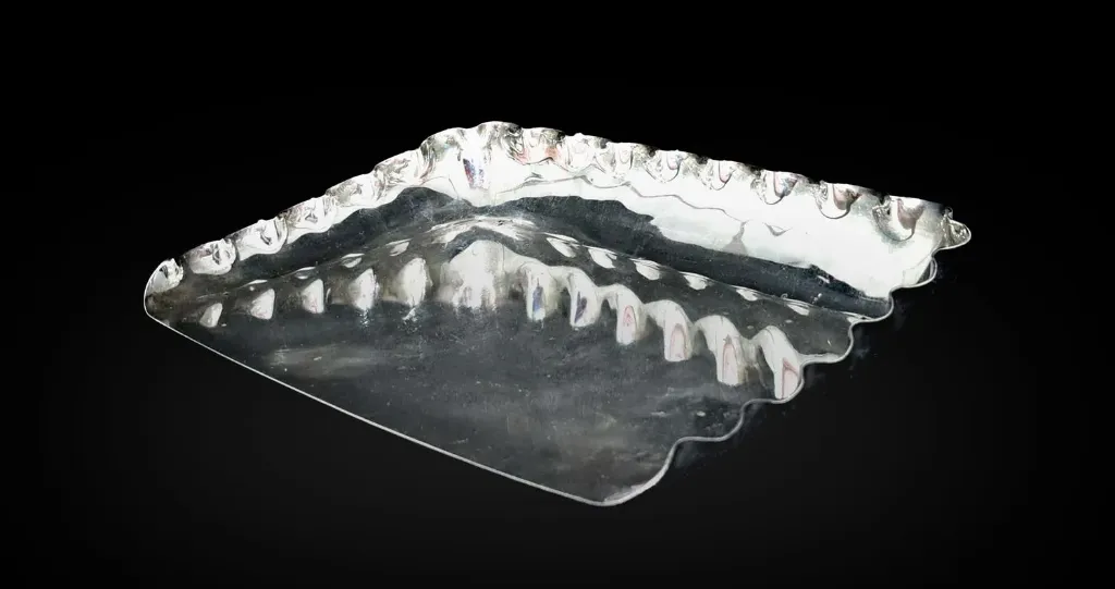Paletta in silver plated