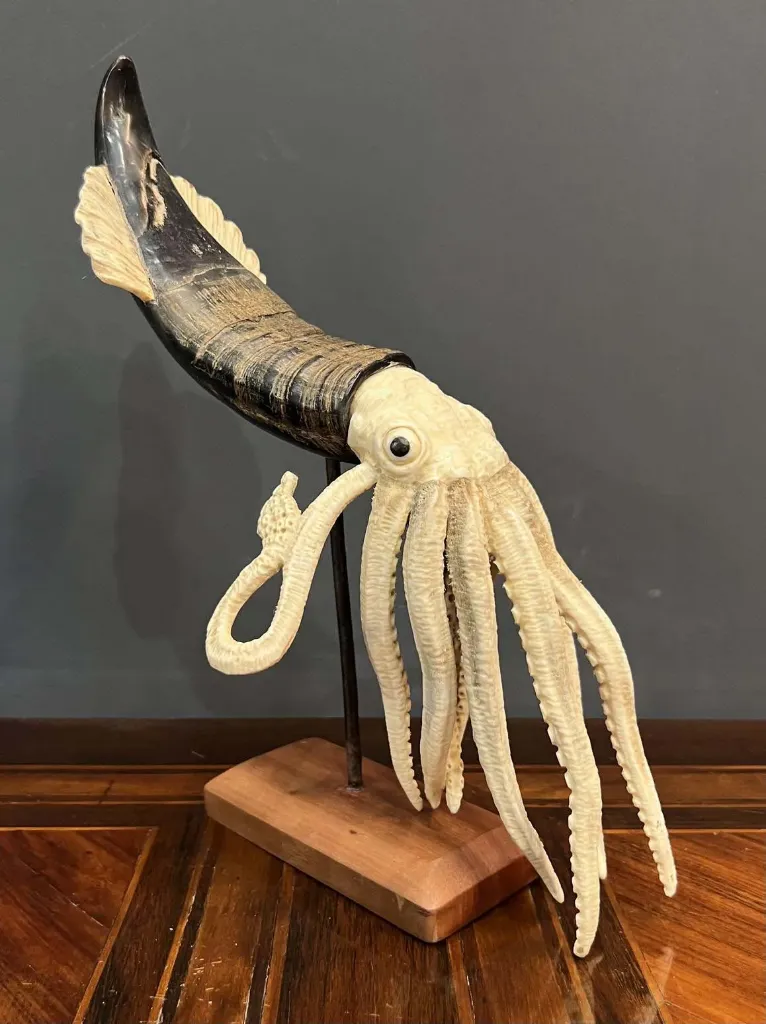 Scultura in corno raffigurante Seppia